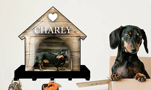 Galleria portachiavi da parete design casa gatto cane 3