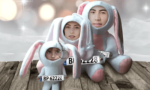 Car Photo Stuff Toy Bunny