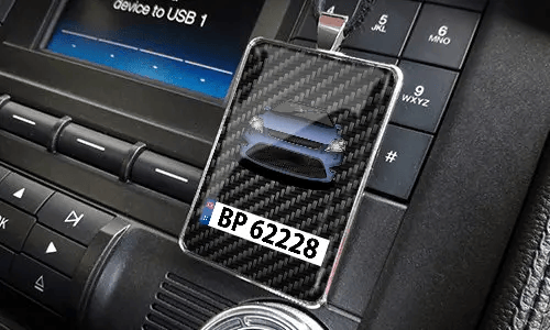 Rear view mirror trailer on the panel