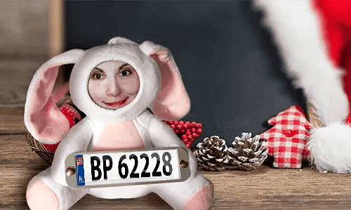 Cuddly toy with photo with license plate as a gift