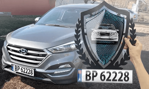 metallschild gestalten schwarz gepulvert mit Blaues Schlangenleder Hintergrund in der Hand accessoire garage